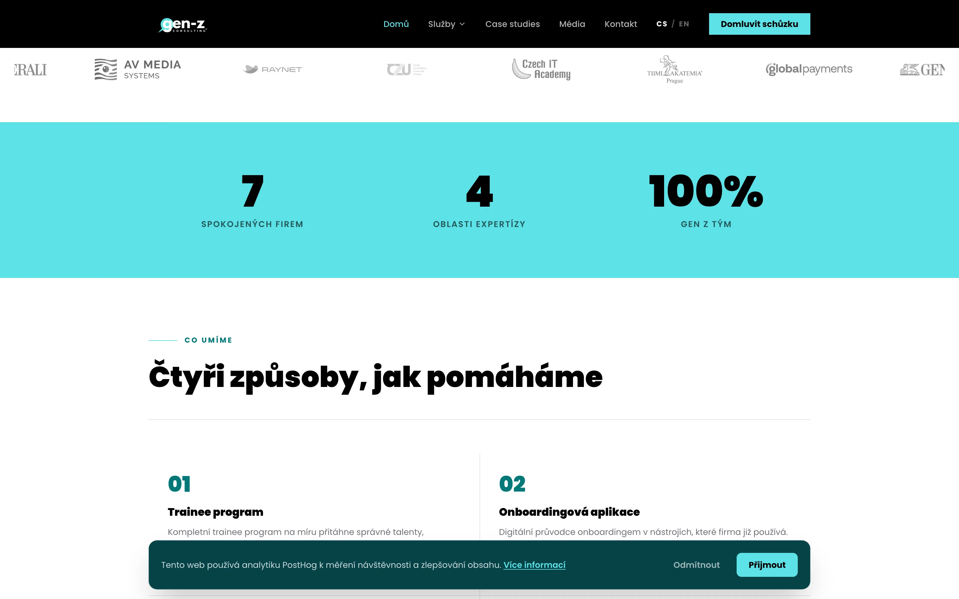GenZ Consulting — náhled 2