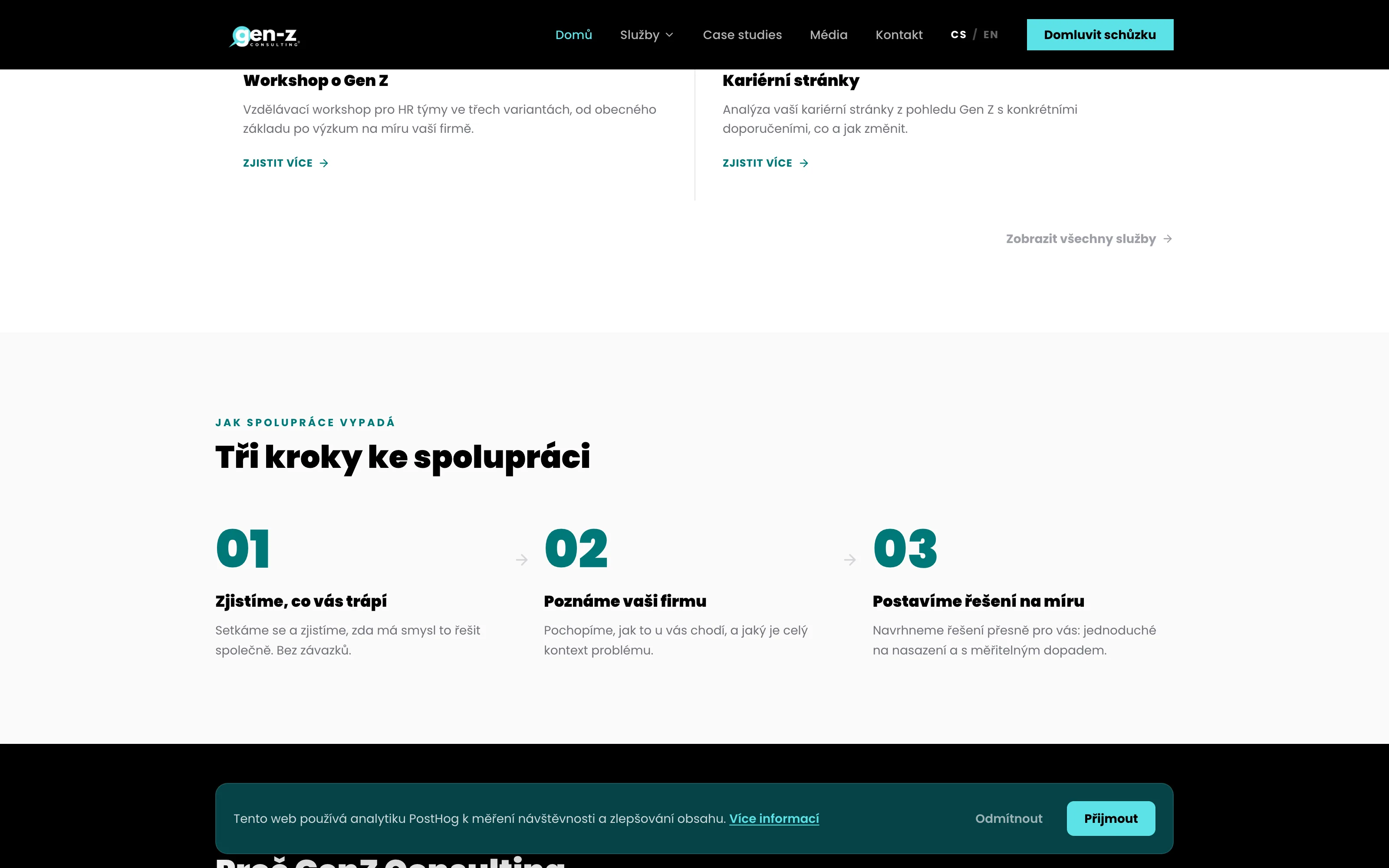 GenZ Consulting — náhled 3